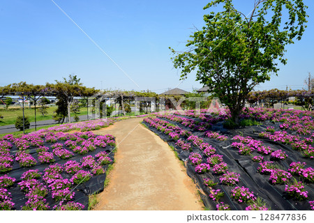 Shimotsuma, the village of relaxation #70 128477836