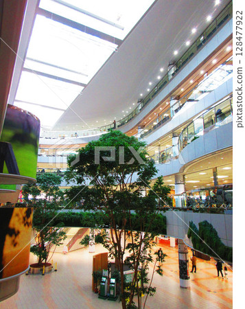 Various scenes from Nakayama Racecourse Various scenes from Nakayama Racecourse 128477922