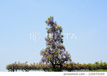 Shimotsuma, the village of relaxation #78 128478169