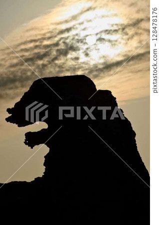Godzilla Rock with its silhouette 128478176