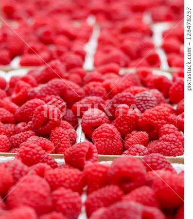 A vibrant, close-up shot of numerous fresh, ripe red raspberries, offering a rich texture and appetizing appeal. High quality photo 128478237
