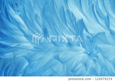Beautiful blue pastel bird feathers pattern texture background. 128478254