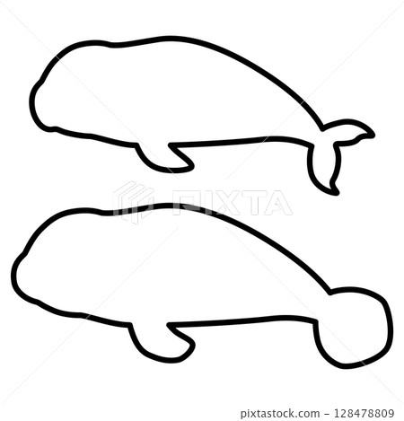 儒艮與海牛的線條畫 128478809