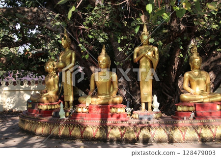 Buddha under the Bodhi tree 128479003