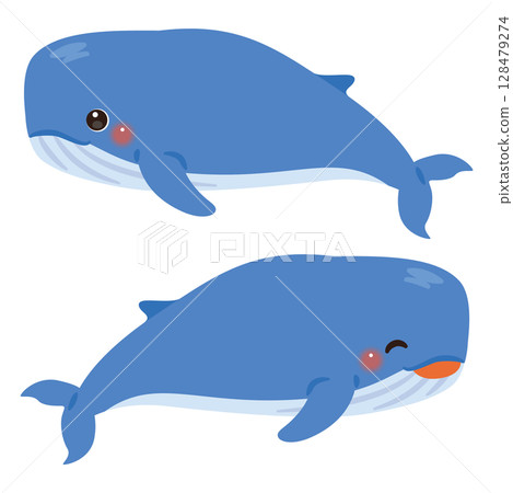 Whale horizontal illustration set 128479274