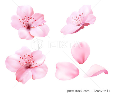 Realistic pink sakura blossom flowers 128479317