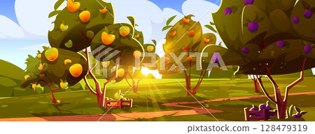 Sunny orchard landscape with fruit trees 128479319