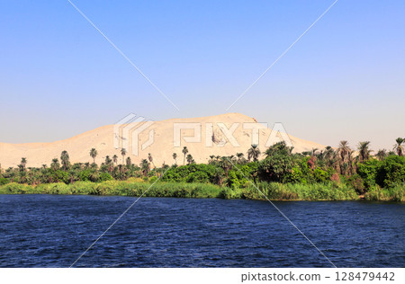 View on the Nile river, palm trees and mountain, Egypt, Africa. Famous tourist attraction. Summer relaxing in cruise. Topic of travel, trip abroad on vacation, cruises and tours 128479442