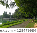 Lush green park with a pond 128479984