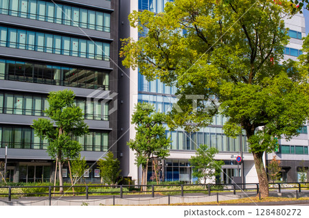 Office district and street trees in a regional city: Yokkaichi City, Mie Prefecture Office district and street trees in a regional city: Yokkaichi City, Mie Prefecture 128480272