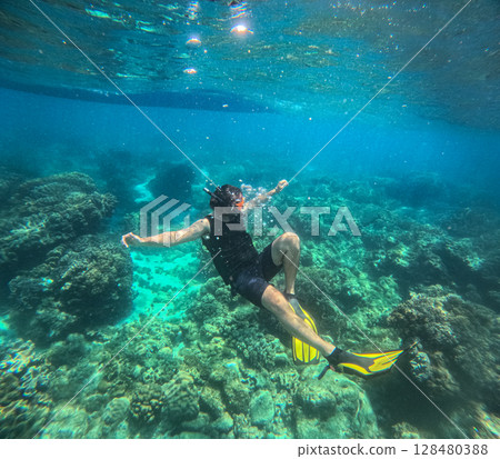 Person snorkeling over a vibrant coral reef in clear blue seawater in Apo Island in Dauin Negros Oriental Philippines, tropical summer travel destination 128480388