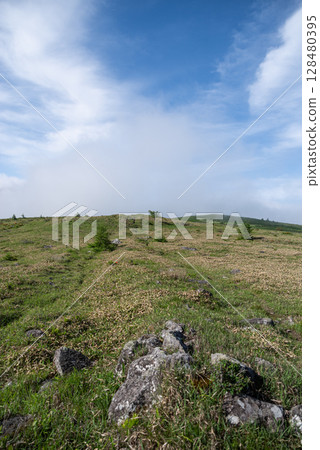 清爽高原 霧峰高原 128480395