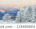 冬山上的樹上覆蓋著雪 128480664