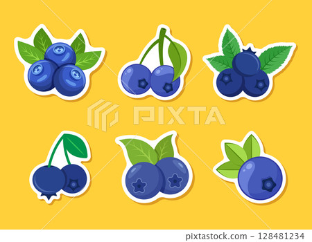 Blueberry fruit paper sticker icon set collection in flat style. Bilberry vector illustration on isolated background. Sweet berry sign business concept. Blueberry fruit paper sticker icon set collection in flat style. Bilberry vector illustration on isolated background. Sweet berry sign business concept. 128481234