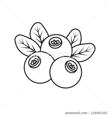 Cranberry fruit icon in stroke linear flat style. Lingonberry vector illustration on isolated background. Fresh berry sign business concept. Cranberry fruit icon in stroke linear flat style. Lingonberry vector illustration on isolated background. Fresh berry sign business concept. 128481301