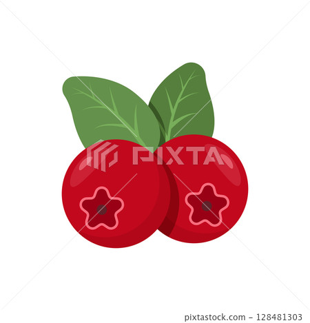 Cranberry fruit icon in flat style. Lingonberry vector illustration on isolated background. Fresh berry sign business concept. 128481303