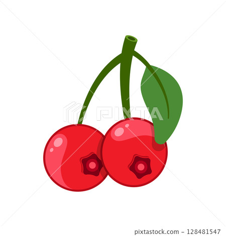 Cranberry fruit icon in flat style. Lingonberry vector illustration on isolated background. Fresh berry sign business concept. Cranberry fruit icon in flat style. Lingonberry vector illustration on isolated background. Fresh berry sign business concept. 128481547