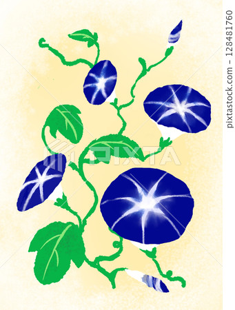 Vivid morning glory illustration 128481760