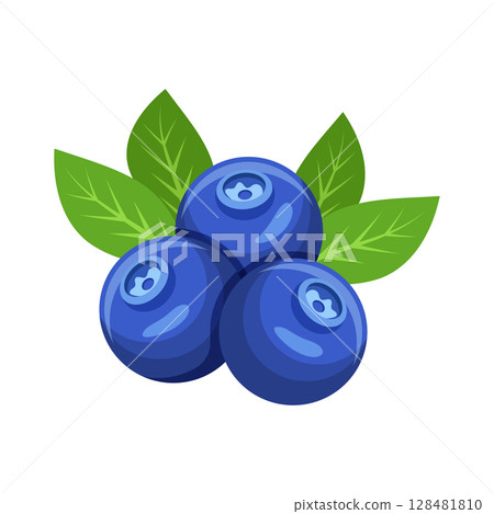 Blueberry fruit icon in flat style. Bilberry vector illustration on isolated background. Sweet berry sign business concept. Blueberry fruit icon in flat style. Bilberry vector illustration on isolated background. Sweet berry sign business concept. 128481810