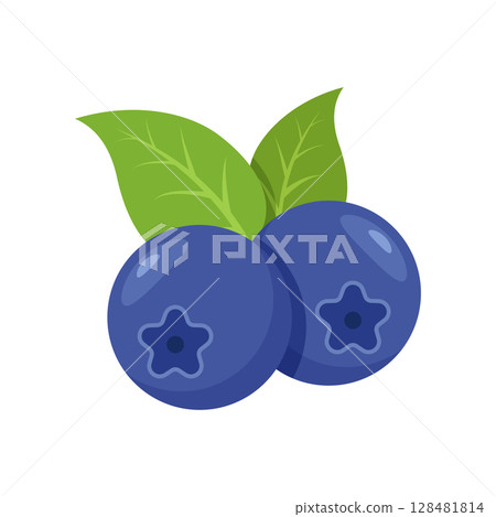 Blueberry fruit icon in flat style. Bilberry vector illustration on isolated background. Sweet berry sign business concept. Blueberry fruit icon in flat style. Bilberry vector illustration on isolated background. Sweet berry sign business concept. 128481814