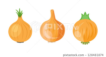 Onion icon set collection in flat style. Organic vegetable vector illustration on isolated background. Healthy food sign business concept. 128481874
