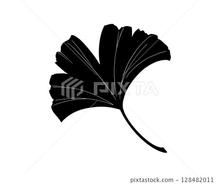 銀杏葉的黑白插圖（有白色邊框） 128482011