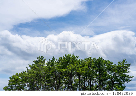 積雨雲、藍天和綠色森林 積雨雲、藍天和綠色森林 128482089