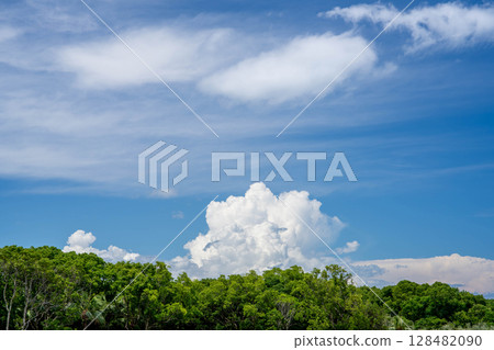 Cumulonimbus clouds, blue sky and green forest 128482090