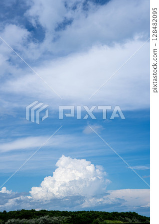 積雨雲、藍天和綠色森林 128482095