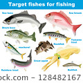 釣目標魚 128482167