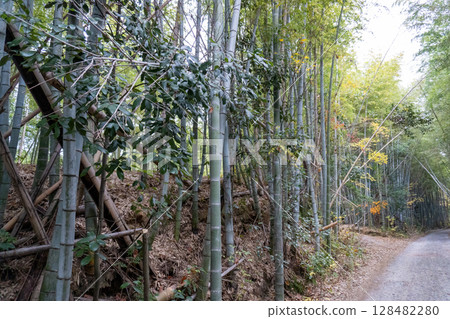 京都環線步道及其周邊的風景 京都環線步道及其周邊的風景 128482280