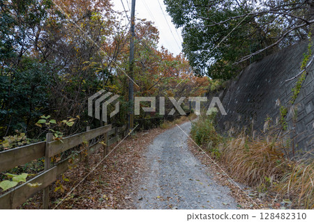 京都環線步道及其周邊的風景 128482310