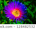 Purple Flower Bee 128482532