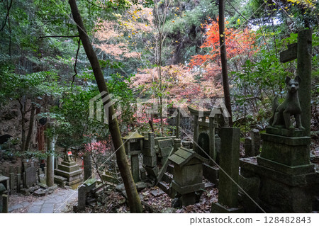 Scenery of the Kyoto Loop Trail and its surroundings 128482843