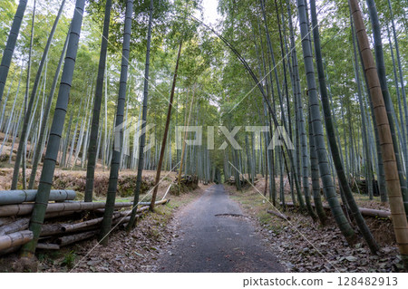 京都環線步道及其周邊的風景 128482913