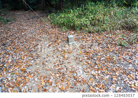 京都環線步道及其周邊的風景 128483037