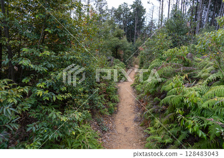 Scenery of the Kyoto Loop Trail and its surroundings Scenery of the Kyoto Loop Trail and its surroundings 128483043