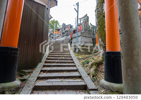 Scenery of the Kyoto Loop Trail and its surroundings 128483050