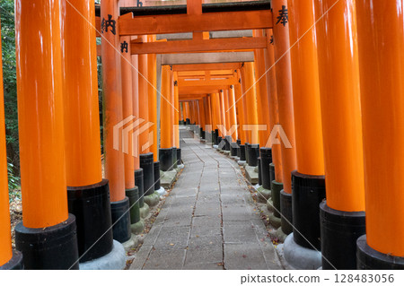 Scenery of the Kyoto Loop Trail and its surroundings 128483056