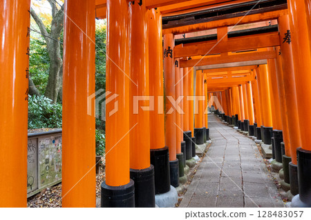 Scenery of the Kyoto Loop Trail and its surroundings 128483057
