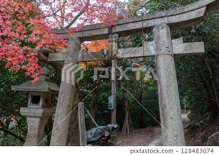 京都環線步道及其周邊的風景 京都環線步道及其周邊的風景 128483074