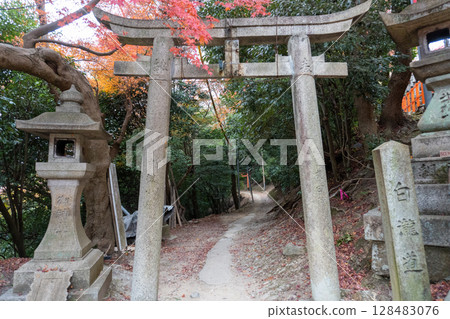 京都環線步道及其周邊的風景 京都環線步道及其周邊的風景 128483076