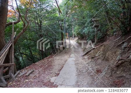 京都環線步道及其周邊的風景 京都環線步道及其周邊的風景 128483077