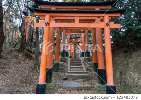京都環線步道及其周邊的風景 京都環線步道及其周邊的風景 128483079