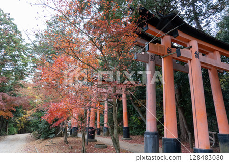 京都環線步道及其周邊的風景 京都環線步道及其周邊的風景 128483080