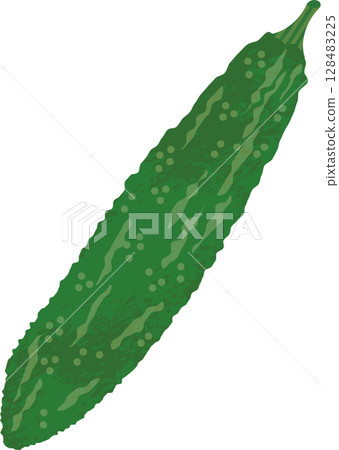 Bitter gourd Bitter gourd 128483225