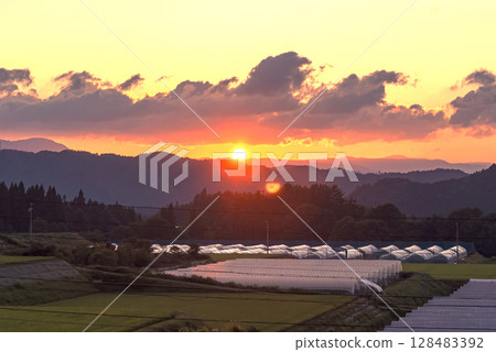 250715 上野平 g016 128483392