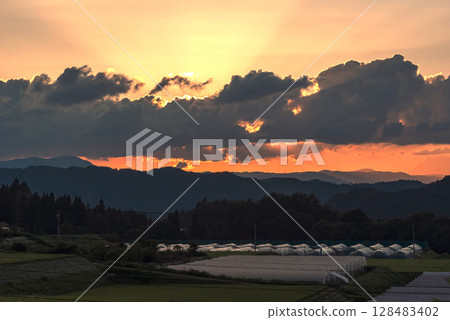 250715Uenodairaz006 250715Uenodairaz006 128483402