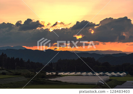 250715Uenodairaz007 128483403