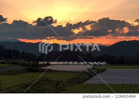 250715Uenodairaz008 250715Uenodairaz008 128483404